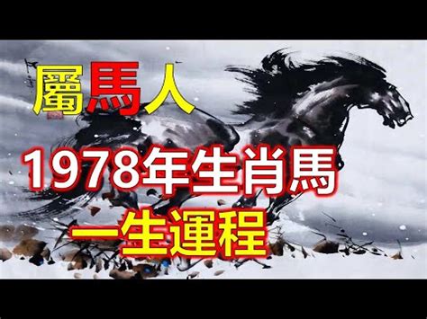 2023馬年運程1978女|屬馬女2023事業轉機